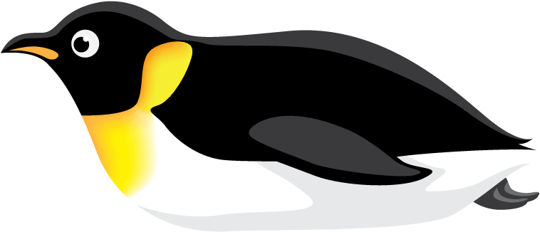 King penguin