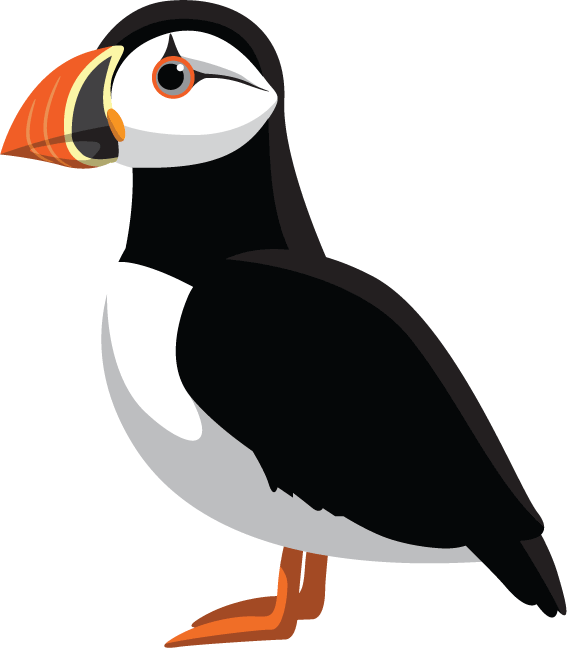 Puffins